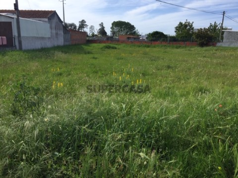 Terreno em Santo André de Vagos, Vagos