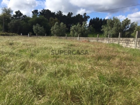 Quinta Agrícola em Sangalhos, Anadia