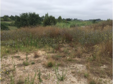 Terreno em Arcos e Mogofores, Anadia