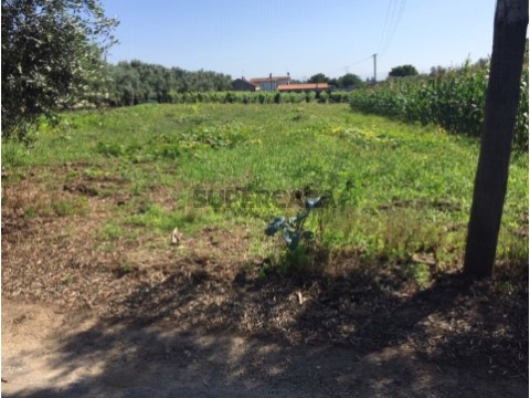 Terreno em São Lourenço do Bairro, Anadia