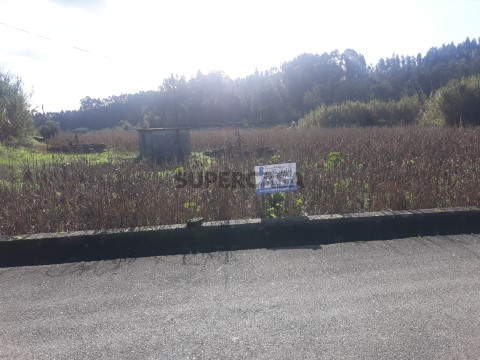 Terreno em Amoreira da Gândara, Paredes do Bairro e Ancas, Anadia