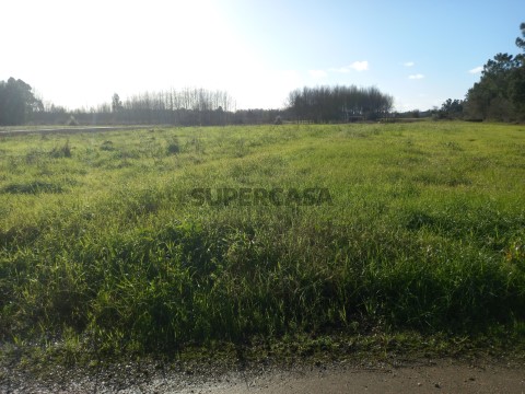 Terreno em Bustos, Troviscal e Mamarrosa, Oliveira do Bairro
