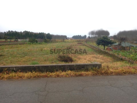 Terreno em Bustos, Troviscal e Mamarrosa, Oliveira do Bairro