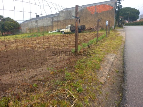 Terreno na Rua Santa Maria, Oiã