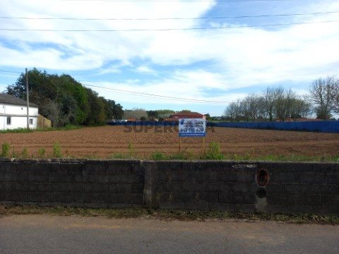 Terreno em Bustos, Troviscal e Mamarrosa, Oliveira do Bairro