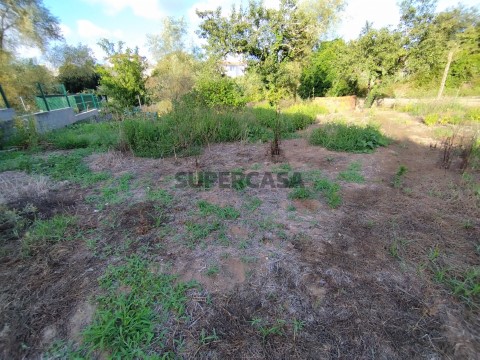 Terreno na Rua da Pinguela, Amoreira da Gândara, Paredes do Bairro e Ancas