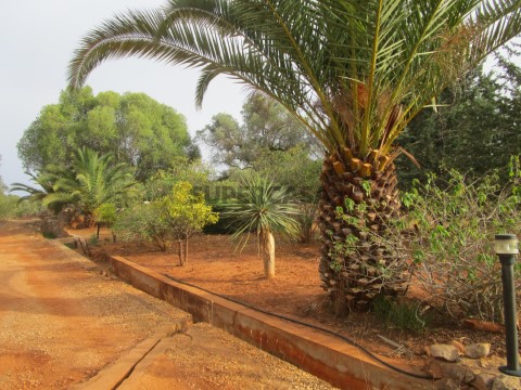 Jardim
