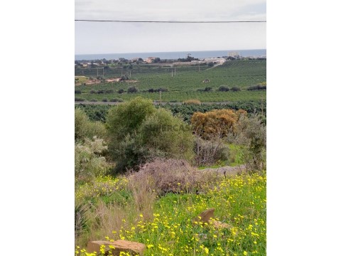 Terreno