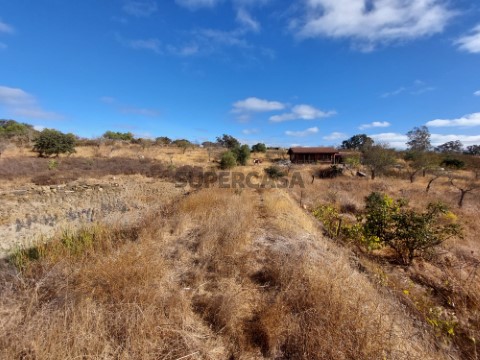 Terreno