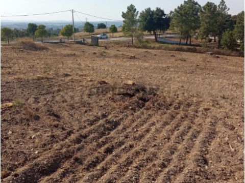 Terreno em São Pedro de Tomar, Tomar