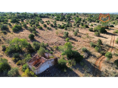 Terreno Misto em Patacas Silves Faro Algarve_3