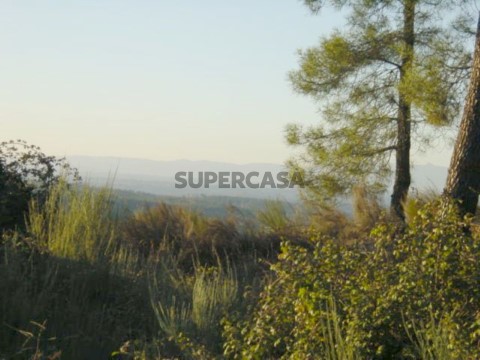 Foto 02