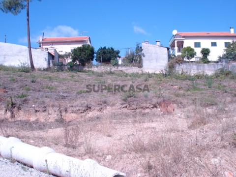 Lote Moradia em Covas e Vila Nova de Oliveirinha, Tábua