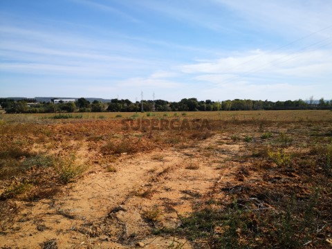 Terreno ideal para uma plataforma logística - Entroncamento