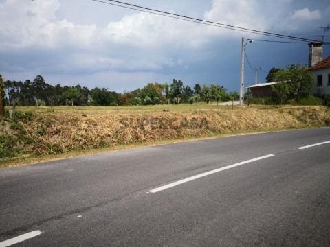 Espectacular terreno com uma grande frente e prado para animais, perto de Fatima