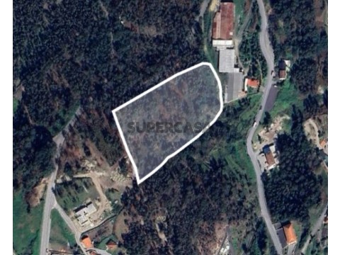 Terreno Rústico com 17.569 m2 em Sousela, Lousada