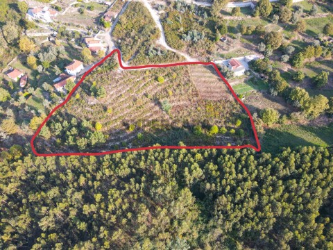 Terreno rustico con 8.250 m² a Travanca, Amarante