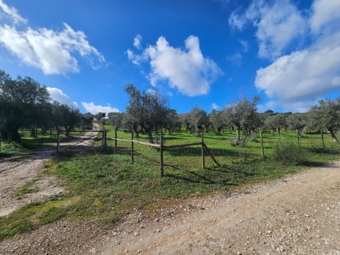 Terreno rustico con 17.143 m² e uliveto a Nossa Senhora da Conceição, Vila Viçosa