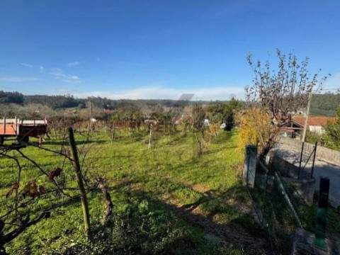 Terreno em Antuzede e Vil de Matos, Coimbra