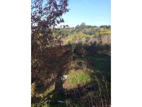 Terreno en Viseu, Viseu