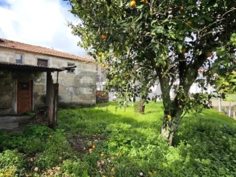 Huis 3 kamers Op Santa Cruz do Douro e São Tomé de Covelas, Baião