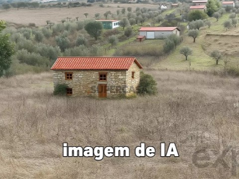 Terrain au Espírito Santo, Nossa Senhora da Graça e São Simão, Nisa