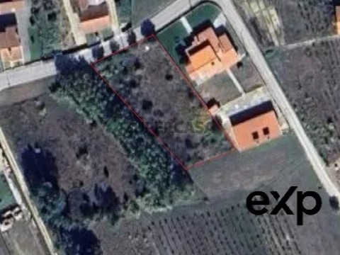 Terreno em São Lourenço do Bairro, Anadia