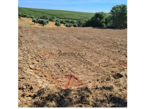 Terreno em Baleizão, Beja