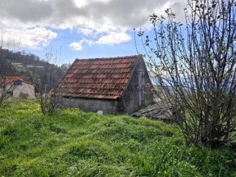 Terreno em Canhas, Ponta do Sol