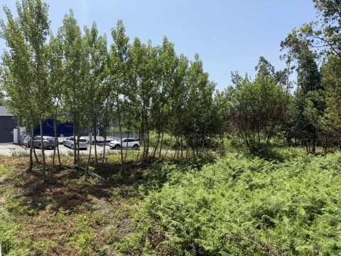 Terreno em Lobão, Santa Maria da Feira