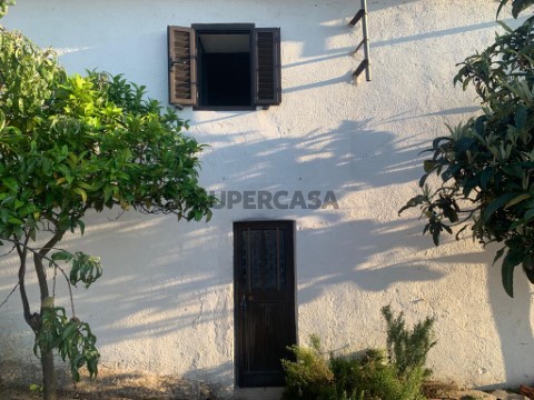 IMG-20230703-WA0005