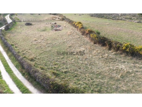 DJI_0134