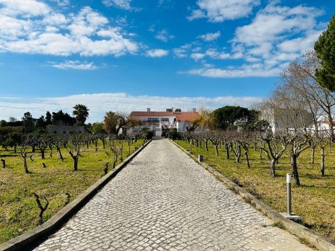 Moradia T17 em Abrigada e Cabanas de Torres, Alenquer