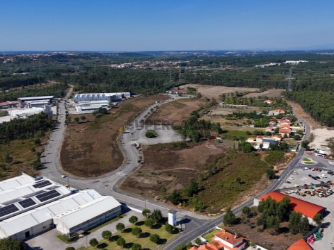 Terreno em Arcos e Mogofores, Anadia