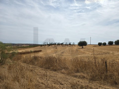 Grundstück auf Pedrógão, Vidigueira