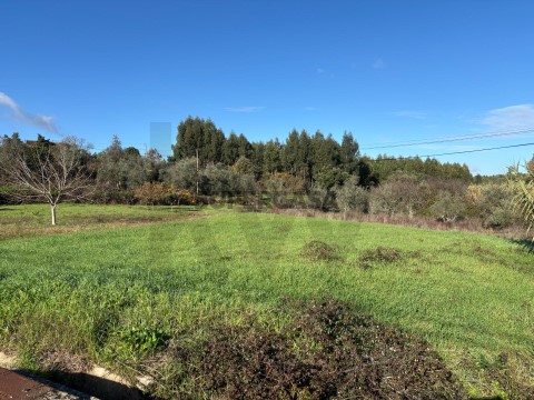 Terreno em Olalhas, Tomar