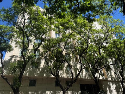 Apartamento T1 em Santo António, Lisboa