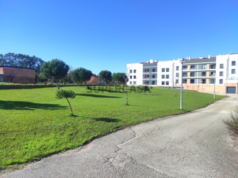 Jardim