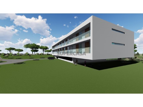Terreno com Estudo Aprovado para ERPI - 20.000 m² - Abrantes (São Miguel do Rio Torto)