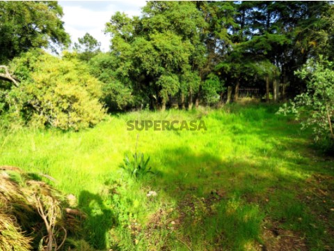 Construa uma Moradia Única | Lote Exclusivo 2750 m² com 900 m² de Construção - Palmela