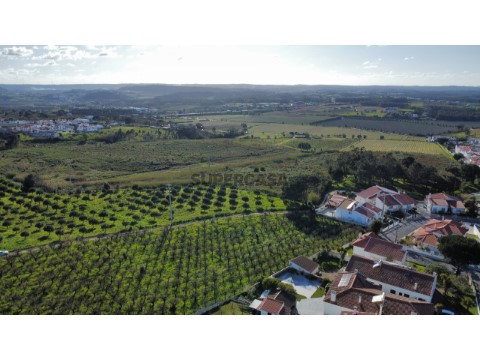 Vista aérea 5