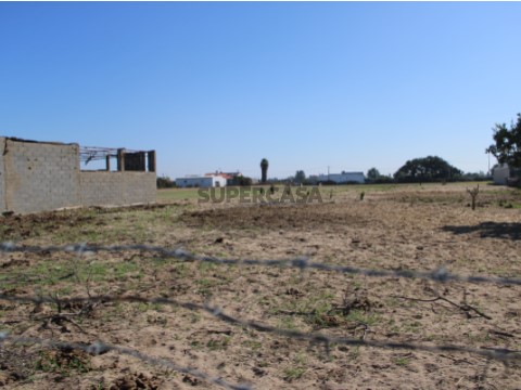 Terreno IV