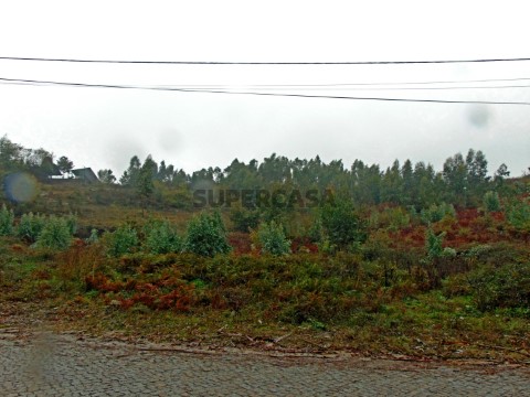 DSC02518