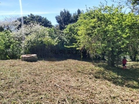 Terreno