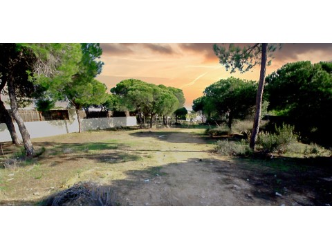 Terreno em Almancil, Loulé