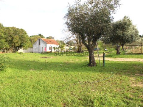 Quintinha T2 em Azeitão (São Lourenço e São Simão), Setúbal