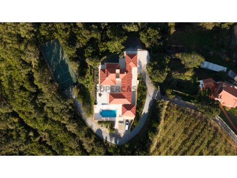 TopView