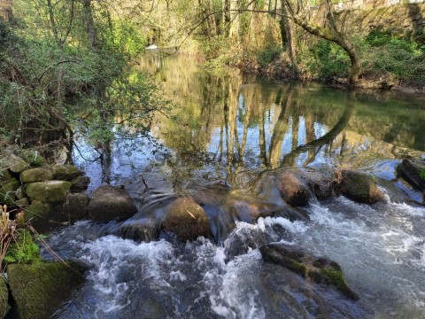 Quinta T1 em Formariz e Ferreira, Paredes de Coura