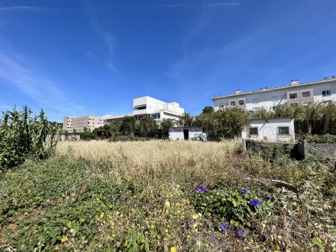 Terreno
