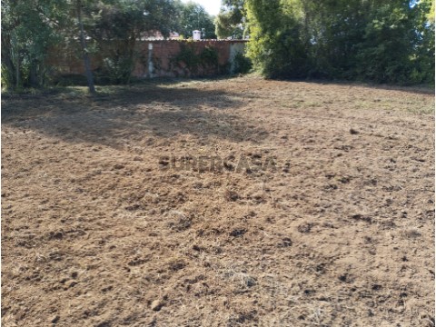 Terreno Urbano